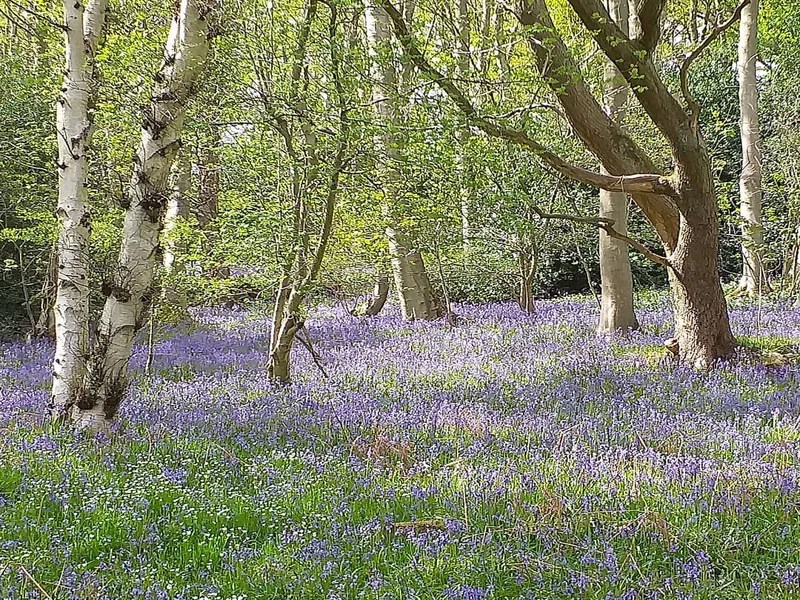 A Complete Guide to Campervanning in Morpeth